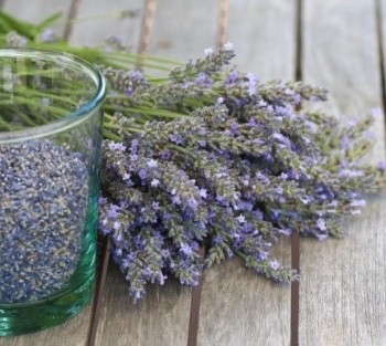 dry_drehi_vtora_upotreba_lavandula